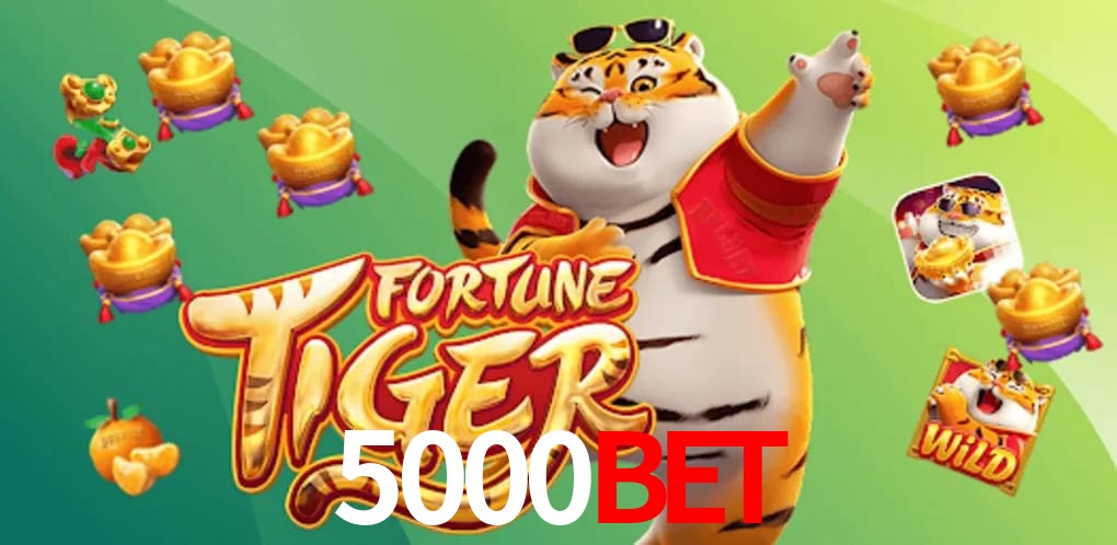 Experiência VIP 5000BET